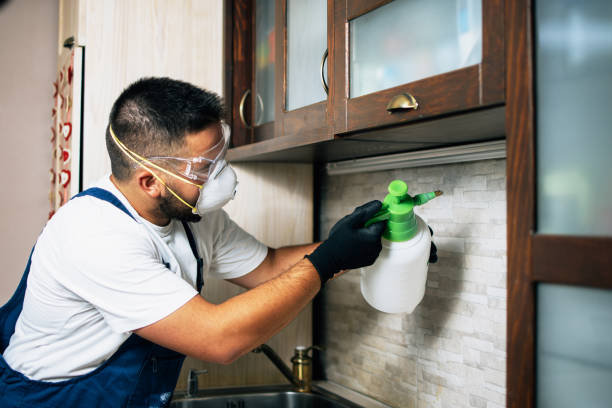 Best Best Pest Control Companies  in Honolulu, HI