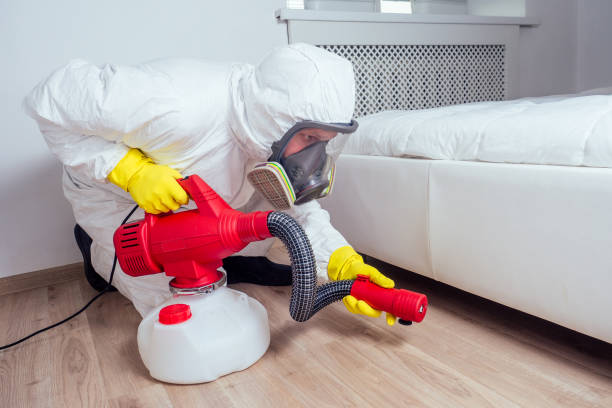 Wildlife Control Services in Honolulu, HI